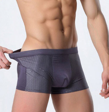 Dominic – Ice Silk Men's Mesh Boxer Underwear