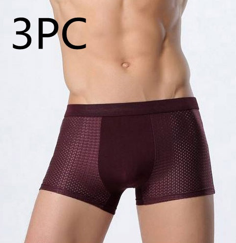 Dominic – Ice Silk Men's Mesh Boxer Underwear