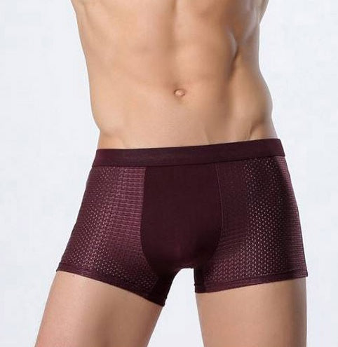 Dominic – Ice Silk Men's Mesh Boxer Underwear