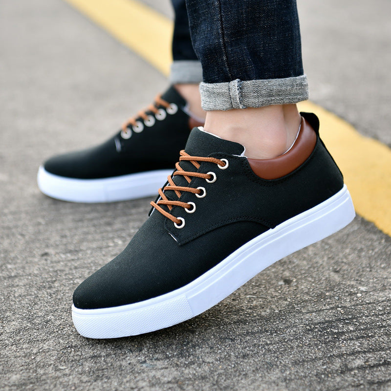 Terry – New Canvas Sneakers for Men