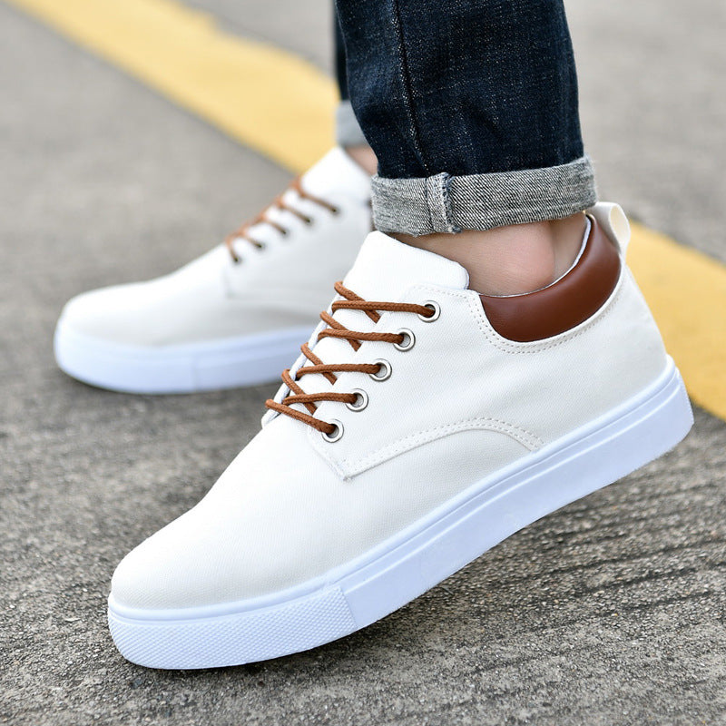 Terry – New Canvas Sneakers for Men